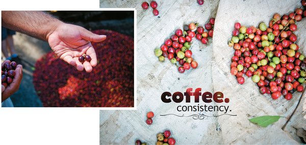 Coffee Consistency